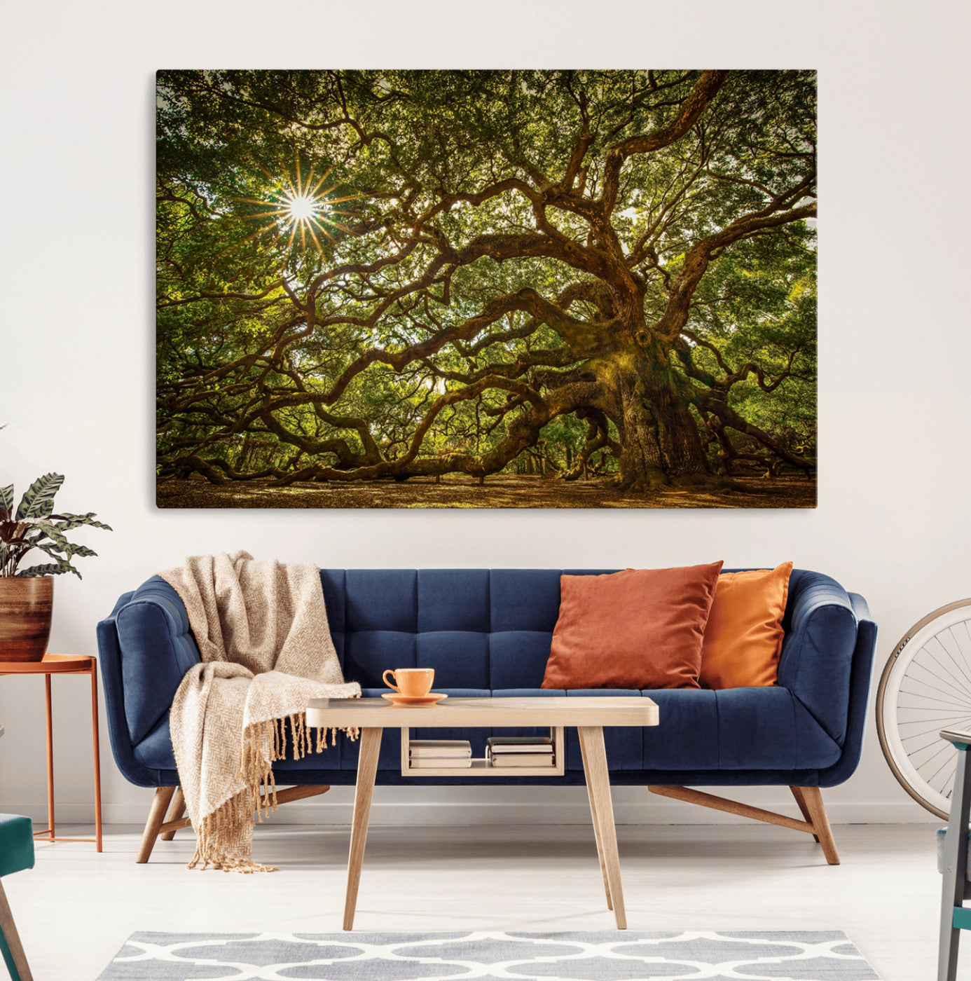 MGV-CV-36X24 - Ancient Angel Oak Tree Art Sunburst Canvas Print- Nature-Inspired Triptych Canvas Print, Framed,