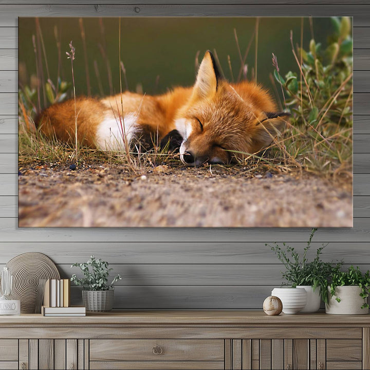 The Sleeping Fox Wall Art Canvas Print is ideal for farmhouse decor.