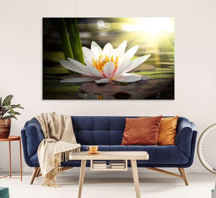 The Lotus Flower Wall Art Canvas Print showcases a white water lily with a yellow center floating gracefully in sunlight.