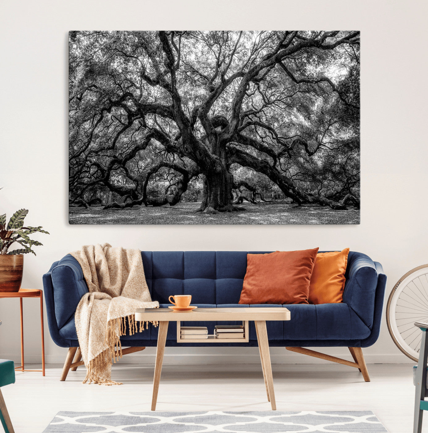 MGV-CV-36X24 - Black and White Old Angel Oak Tree Wall Art Canvas Print