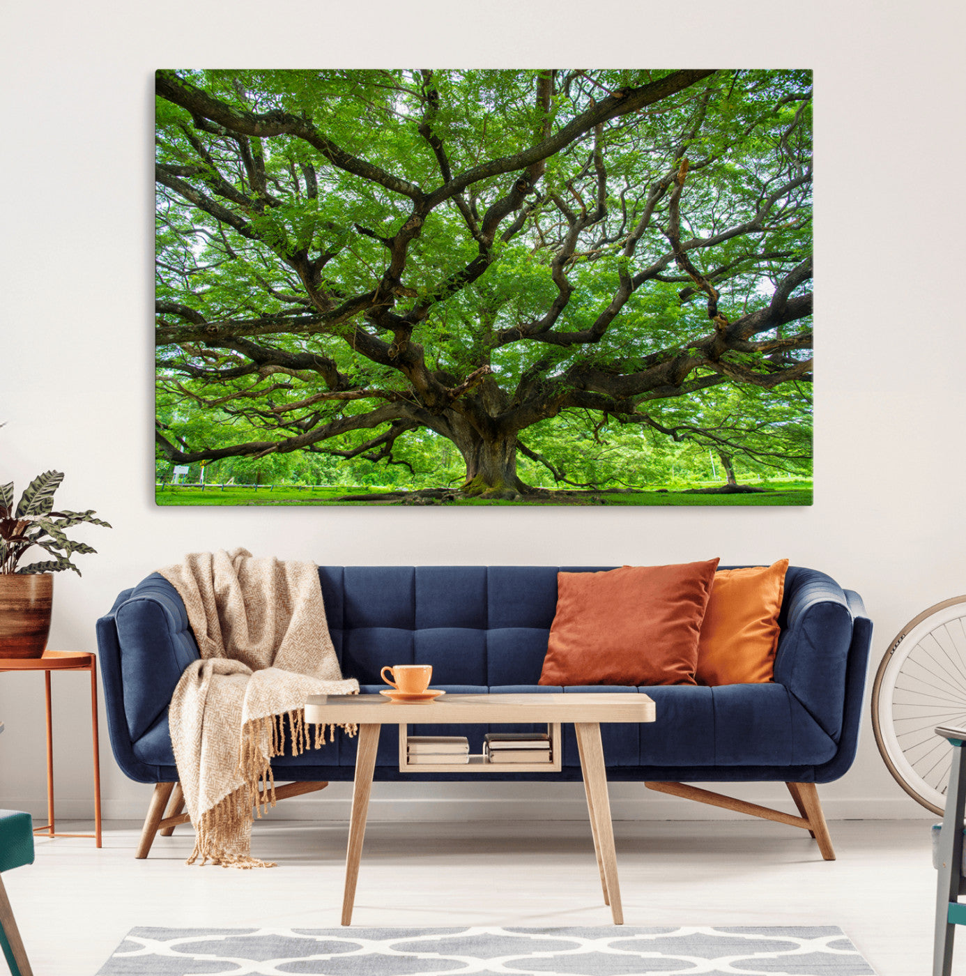 MGV-CV-36X24 - Ancient Tree Wall Art Canvas Print, Framed Sprawling Branches Art Picture Print, Gnarling Tree Perfect Earthy Natural Decor Artwork