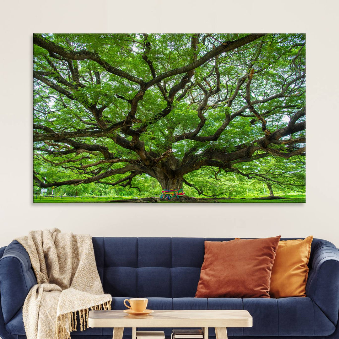 Oak Tree Wall Art Print, Forest Canvas Wall Art for Home and Office, Framed Angel Oak Tree Canvas Art Printing