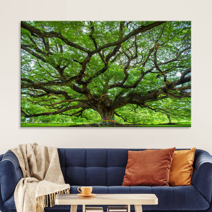 Oak Tree Wall Art Print, Forest Canvas Wall Art for Home and Office, Framed Angel Oak Tree Canvas Art Printing