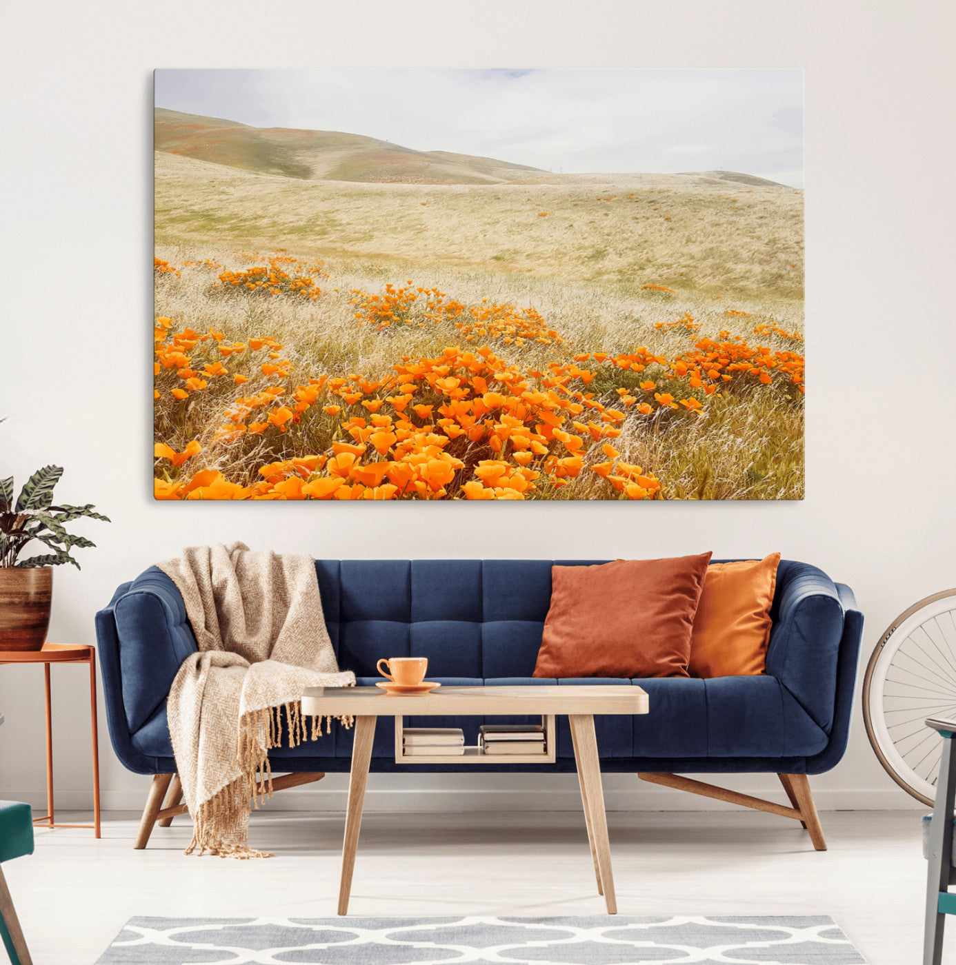 A golden field with vibrant orange poppies blooming across rolling hills under a soft, sunlit sky, creating a warm and rustic landscape.