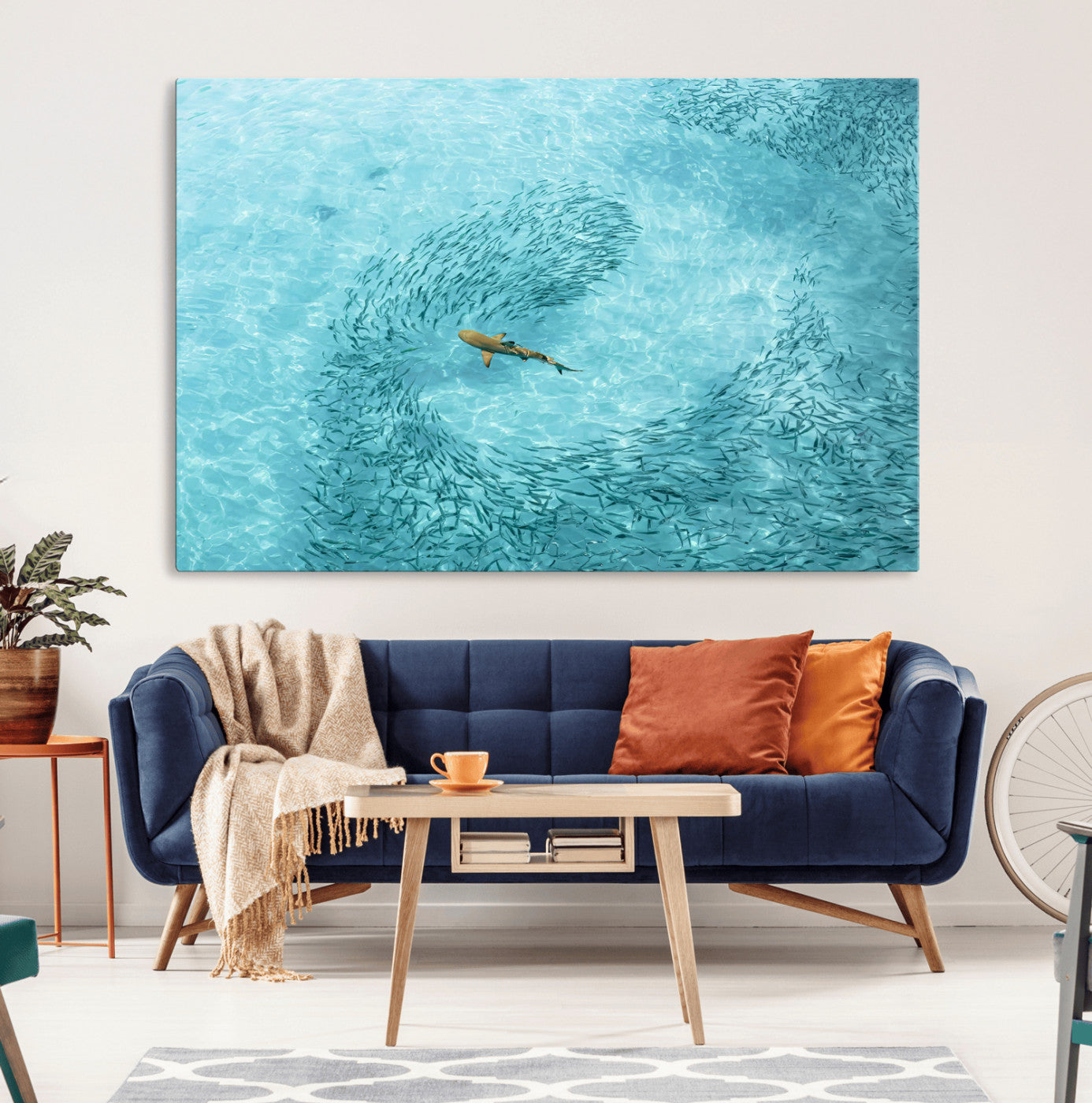 Aerial view of a shark swimming through a swirl of fish in clear turquoise waters, perfect for calm coastal or beach house decor.