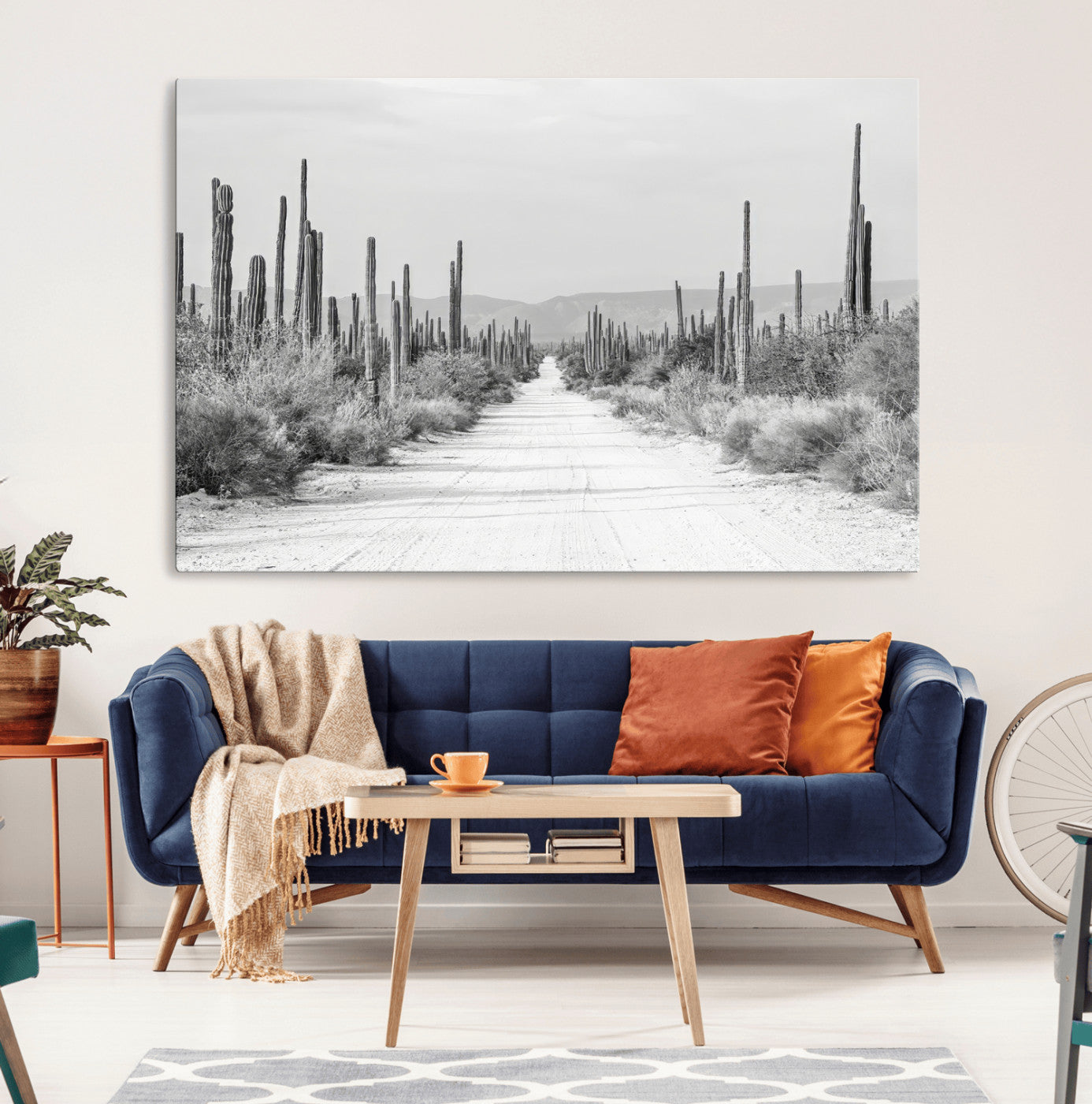 A black and white desert road stretching through a cactus-filled landscape, creating a rugged and timeless southwestern aesthetic with a sense of adventure.