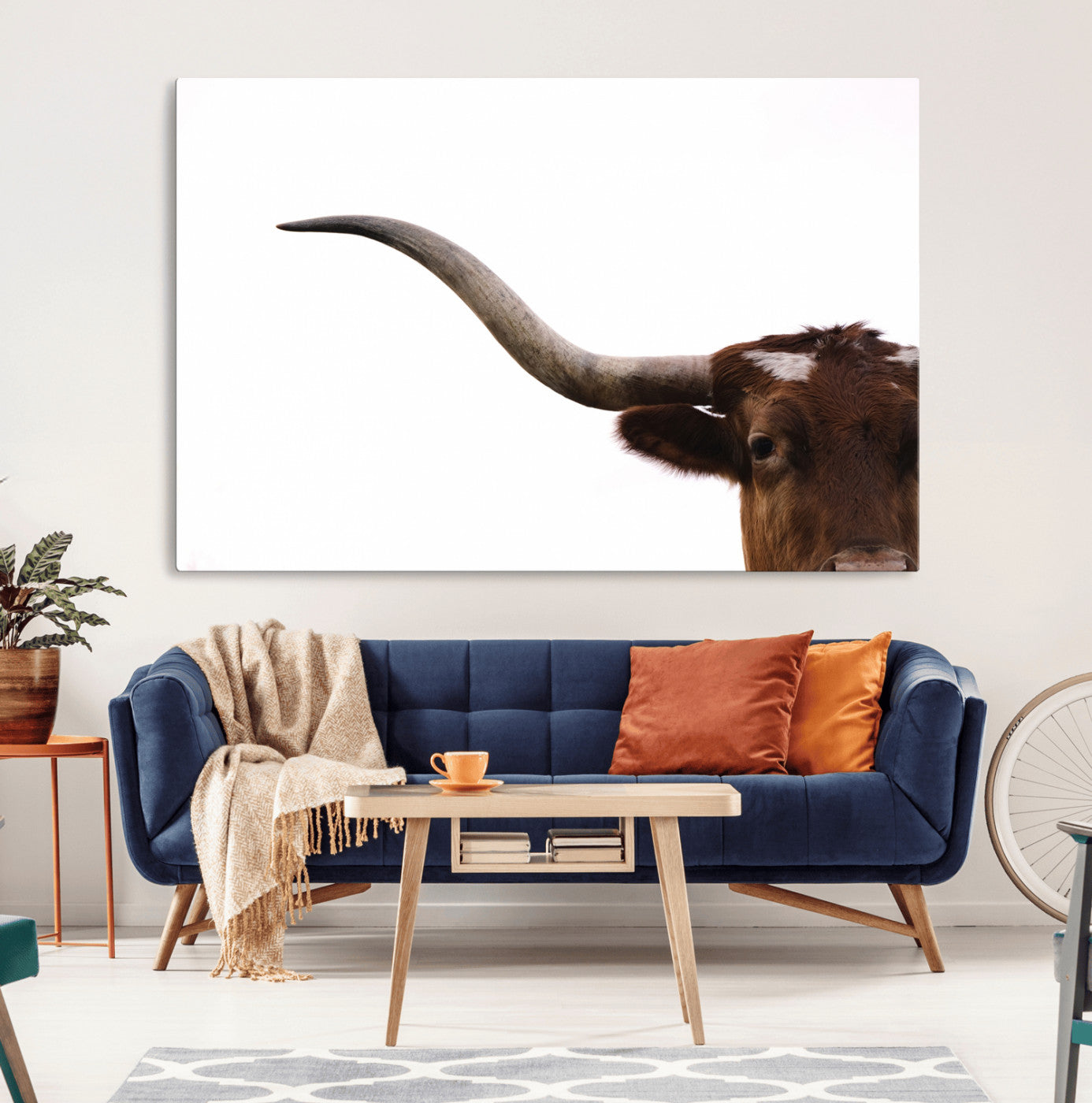 Close-up of Texas Longhorn horn and eye on white background, perfect for minimalist or modern farmhouse style wall decor.