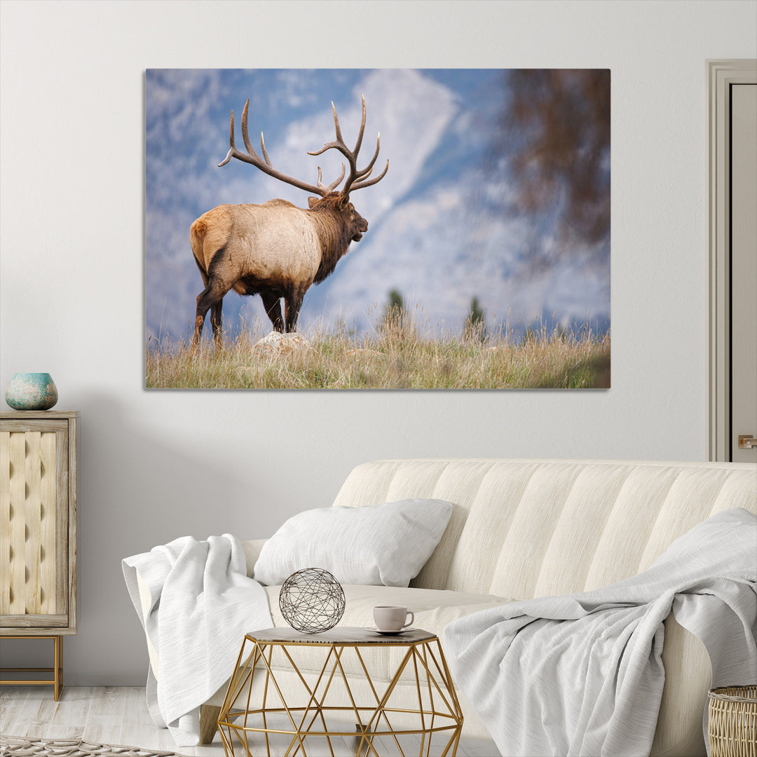 Rustic Elk Wall Art Canvas Print, Wildlife Antler Print, Framed Western Hunting Lodge Art Print