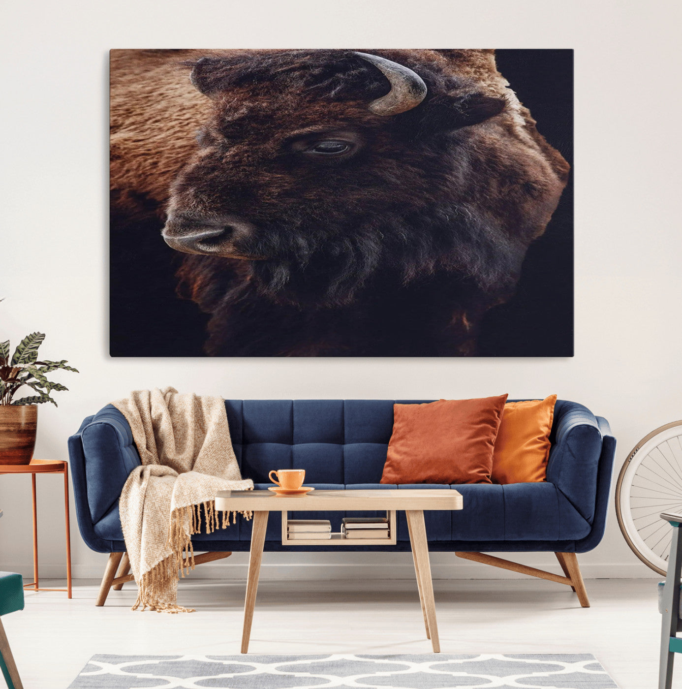 Close-up portrait of a bison with dark fur on a black background, perfect for rustic, lodge, or Western-style interior wall decor.