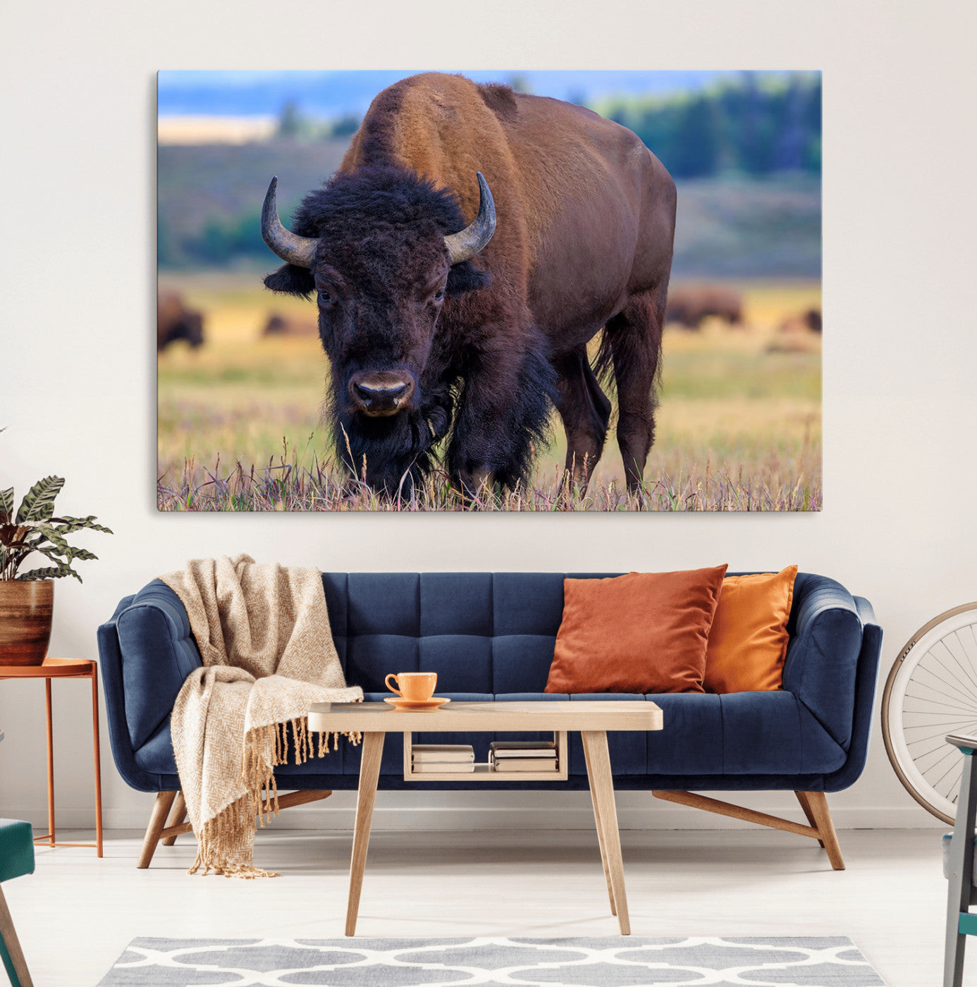 Close-up of a strong American bison standing in a grassy prairie with a blurred herd in background, perfect for rustic lodge decor.
