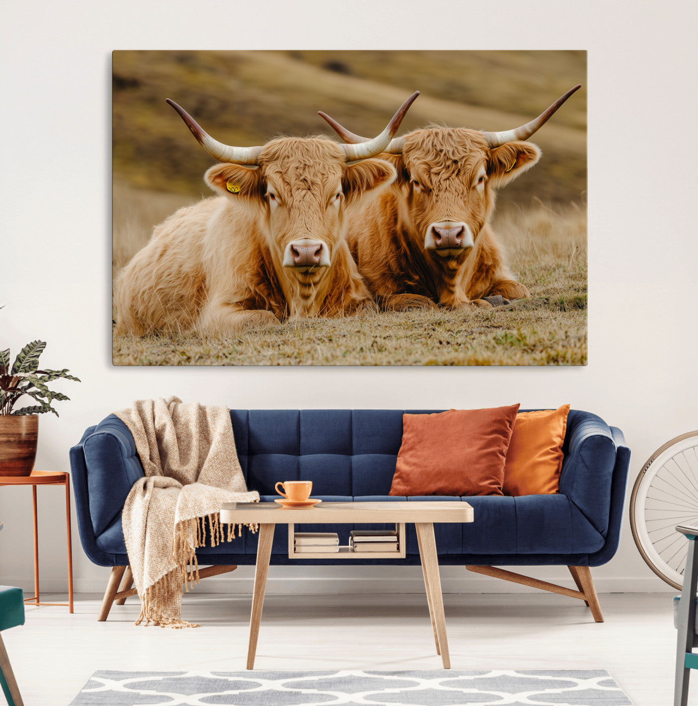 Two Highland cows resting on a golden field with soft focus hills, ideal for rustic farmhouse or cozy cabin style decor.