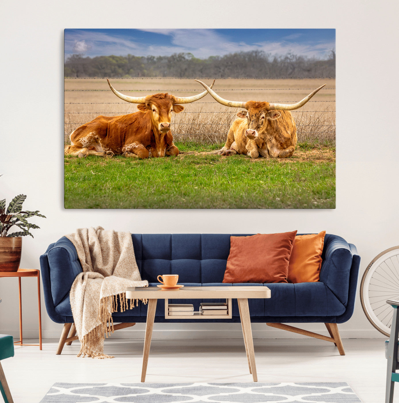 Two longhorn cows lying on green grass in front of a golden field and trees under a blue sky, perfect for rustic country wall decor.