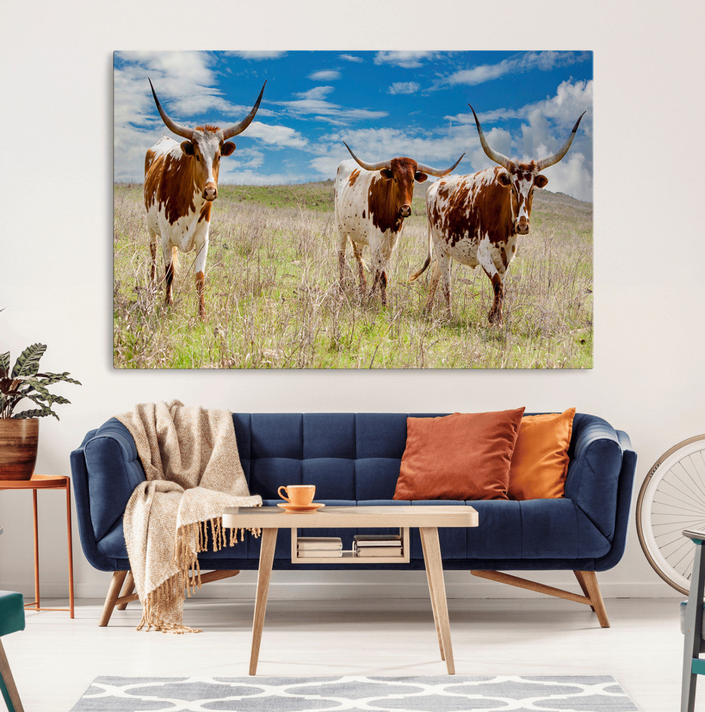 Three Texas longhorn cattle standing in dry grass under a bright blue sky, ideal for farmhouse or western rustic home decor.