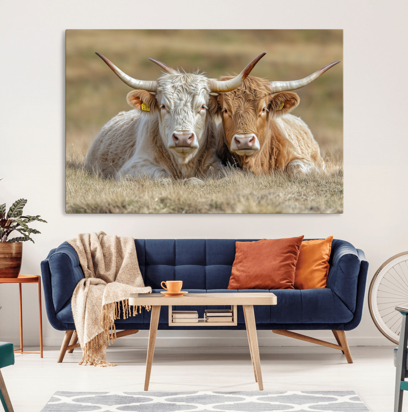 Two cows laying closely in a dry grassy field, captured in soft light, perfect for rustic farmhouse or western style home decor.
