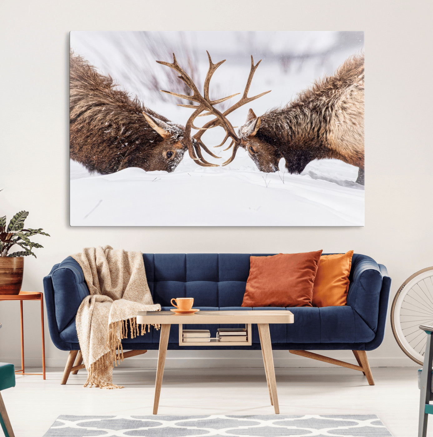 Two elk clashing antlers in a snowy forest, capturing raw power and wild energy, ideal for rustic cabin or lodge-style decor.