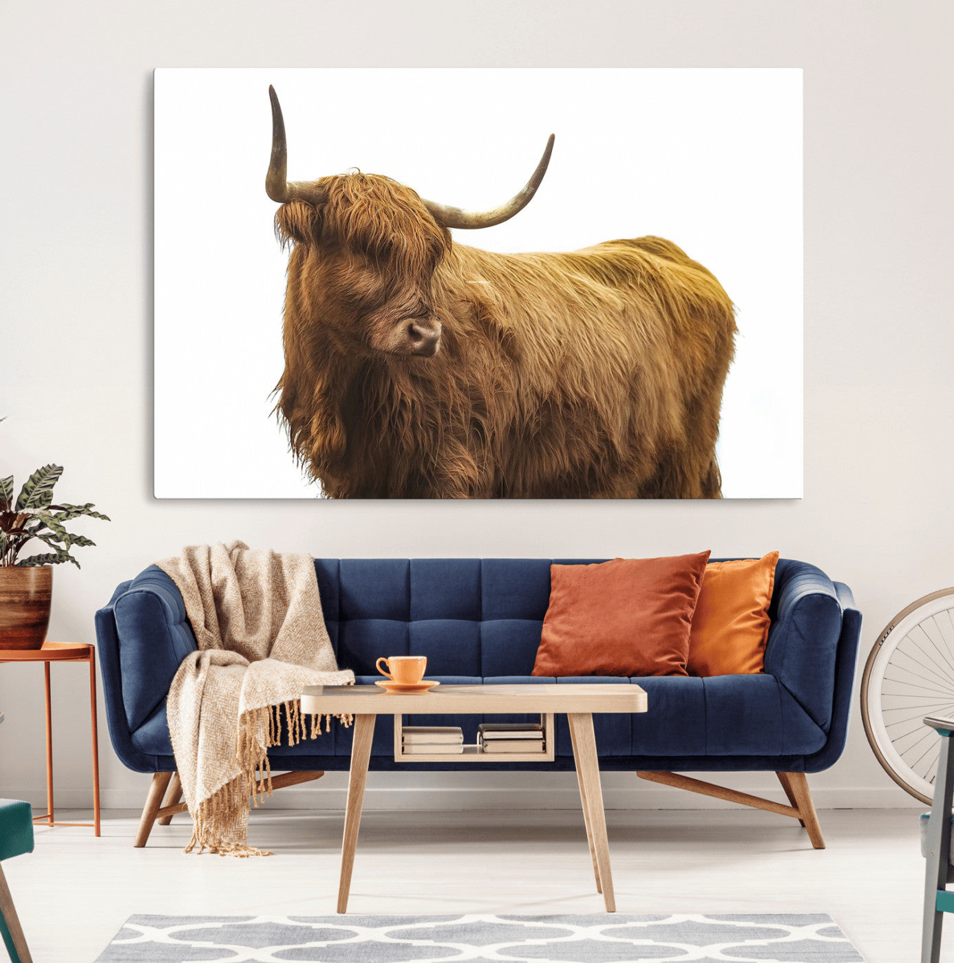 A highland cow with long horns and shaggy fur standing calmly, isolated on white background, ideal for rustic or farmhouse wall decor.
