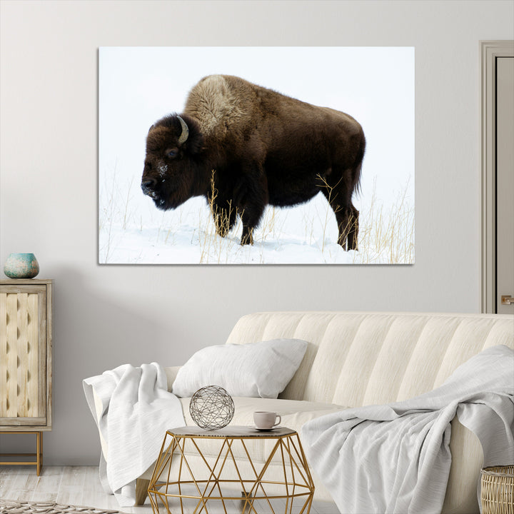 Bison Photography Wall Art Canvas Print, Framed Western Wildlife Art Picture Print, Buffalo On Snow Perfect Western Decor Artwork