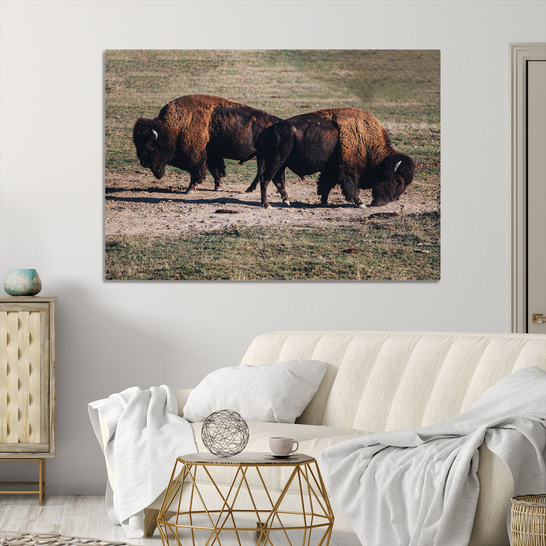 Bison Photography Wall Art Canvas Print, Framed Western Wildlife Art Picture Print, Modern Ranch Perfect Western Rustic Decor Artwork