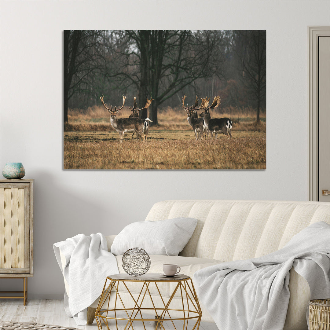 Deer Photography Wall Art Canvas Print, Framed Rustic Wildlife Art Picture, Rustic Deer Wall Art Print
