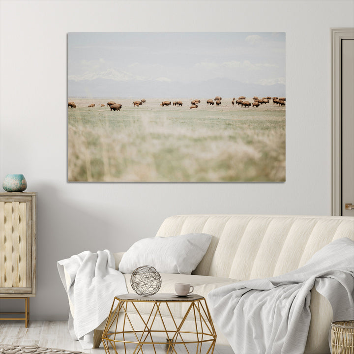 Bison Herd Wall Art Canvas Print, Framed Western Art Picture Print, Bison Perfect Ranch Decor Artwork
