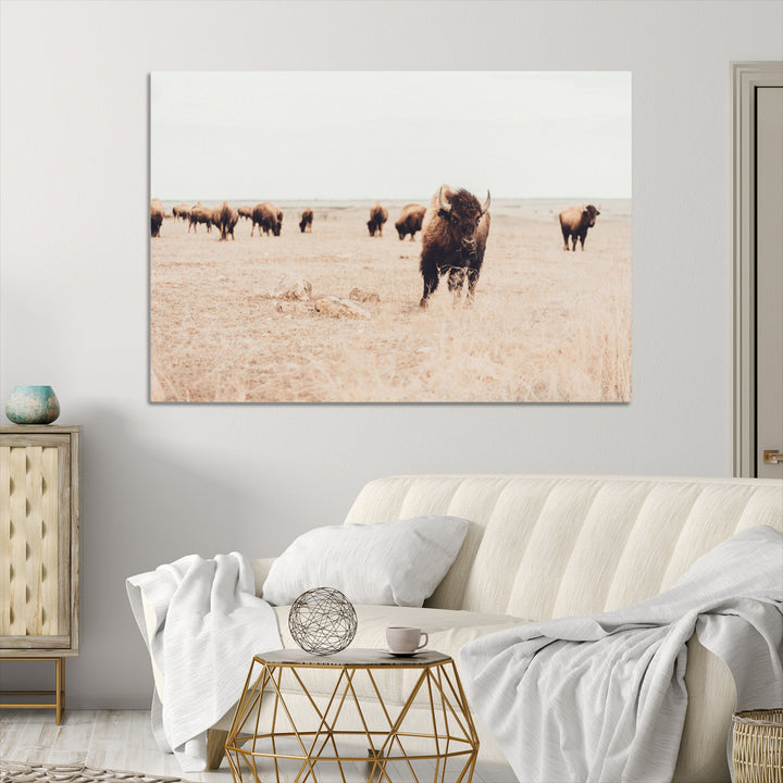 Bison Herd Wall Art Canvas Print, Framed Western Art Picture Print, Prairie Serenity Perfect Ranch Decor Artwork