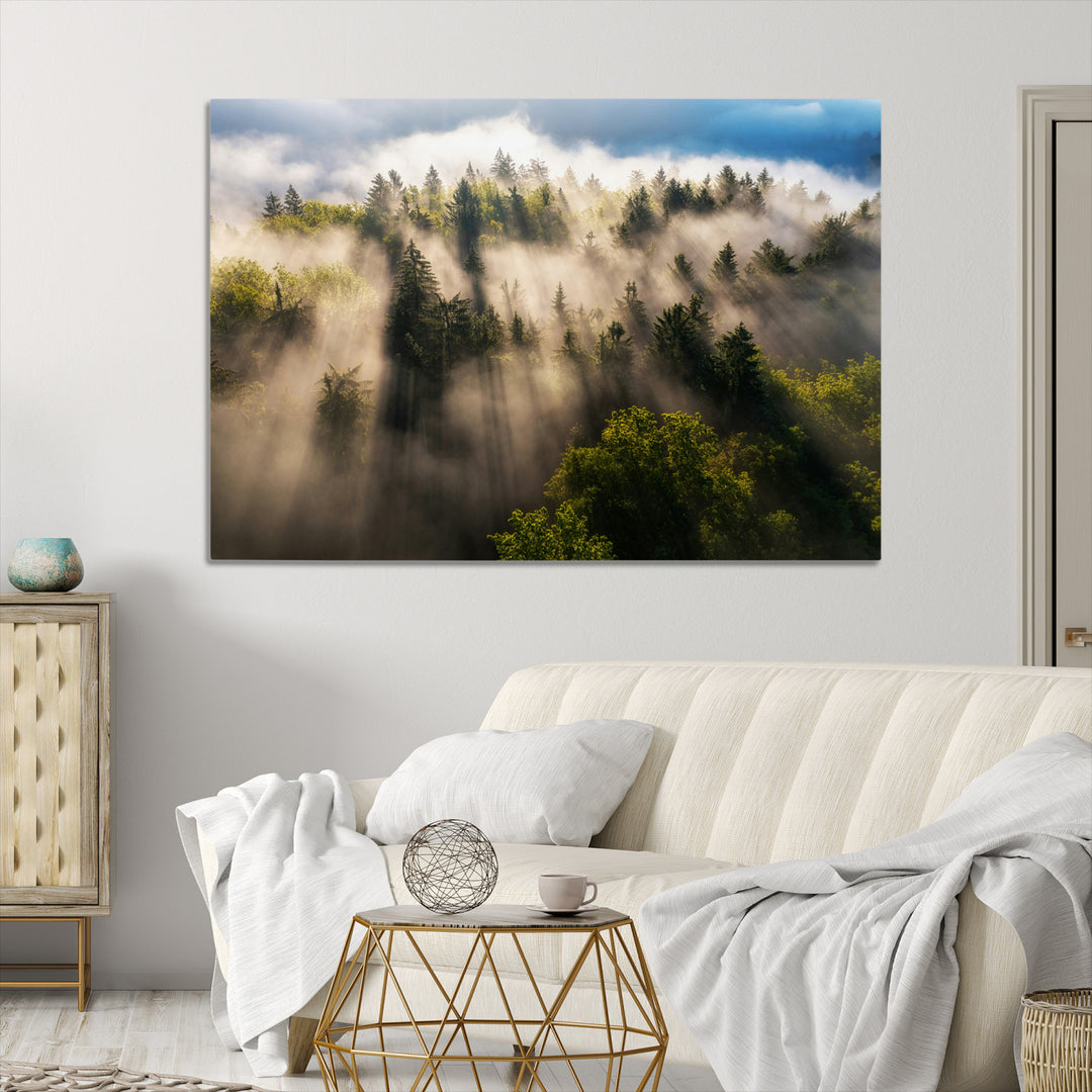 Sunlight streaming through misty pine trees in a lush green forest, creating a serene and atmospheric landscape, perfect for nature-inspired decor.