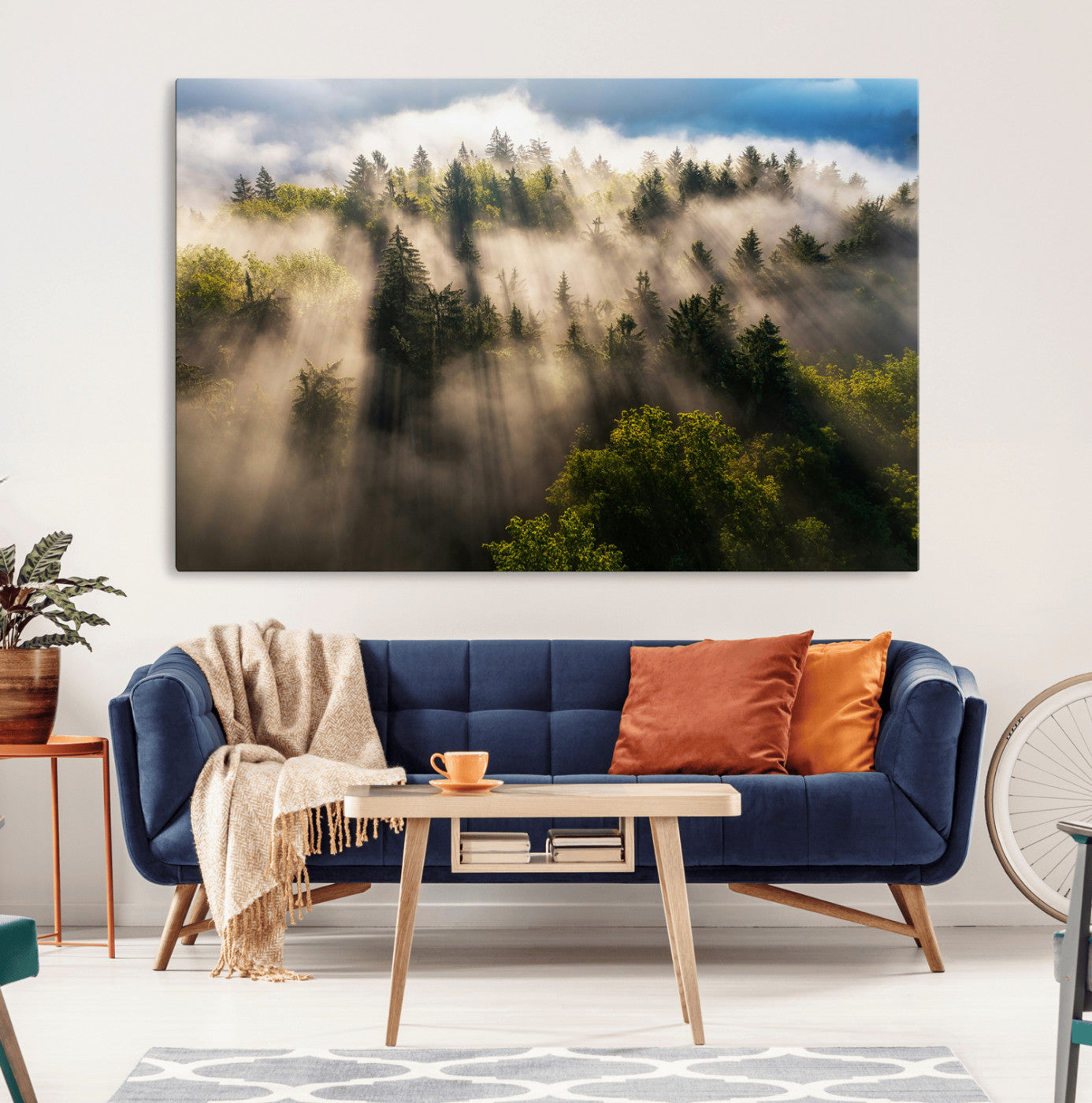 Sunlight streaming through misty pine trees in a lush green forest, creating a serene and atmospheric landscape, perfect for nature-inspired decor.