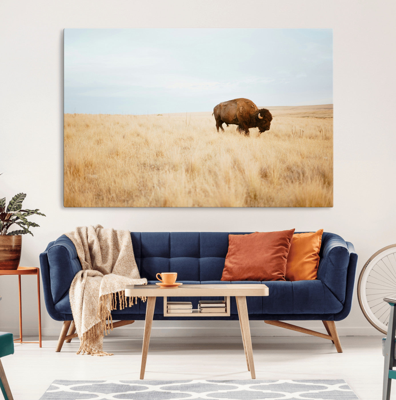 A lone bison standing in a vast golden grassland under a soft blue sky, evoking a rustic and Western aesthetic, ideal for farmhouse decor.