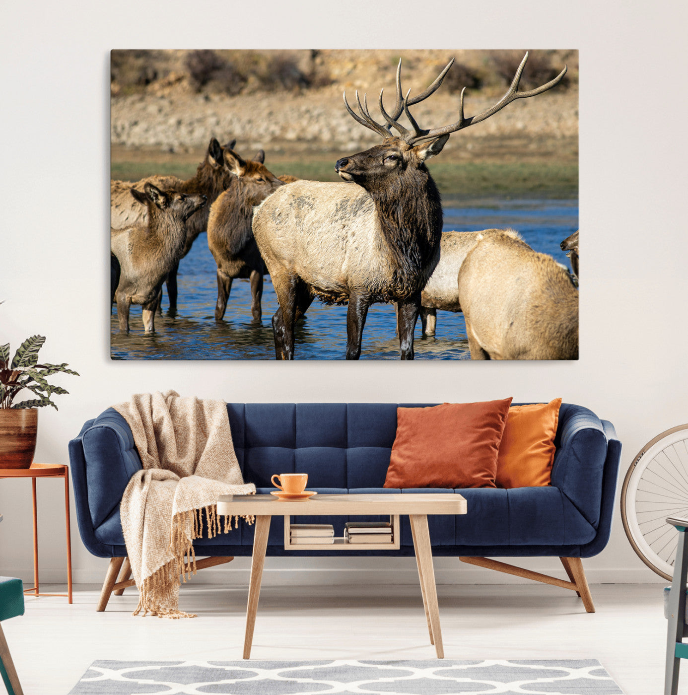 Group of elk standing in shallow water with dry rocky terrain in the background, showcasing wildlife in a natural setting for rustic decor.