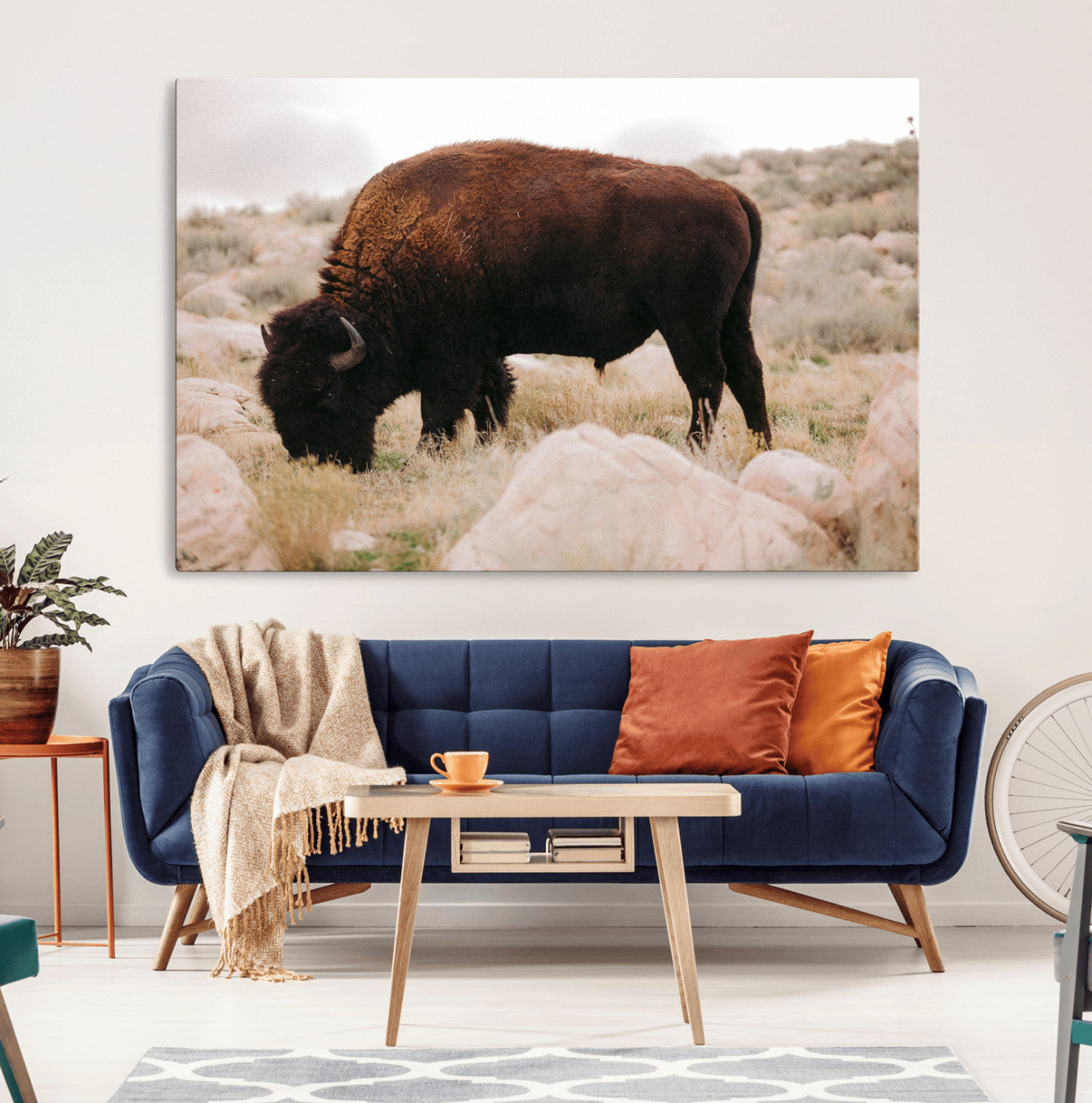 A solitary bison grazing in a rugged prairie with earthy tones and scattered rocks, capturing the essence of the American West for rustic decor.