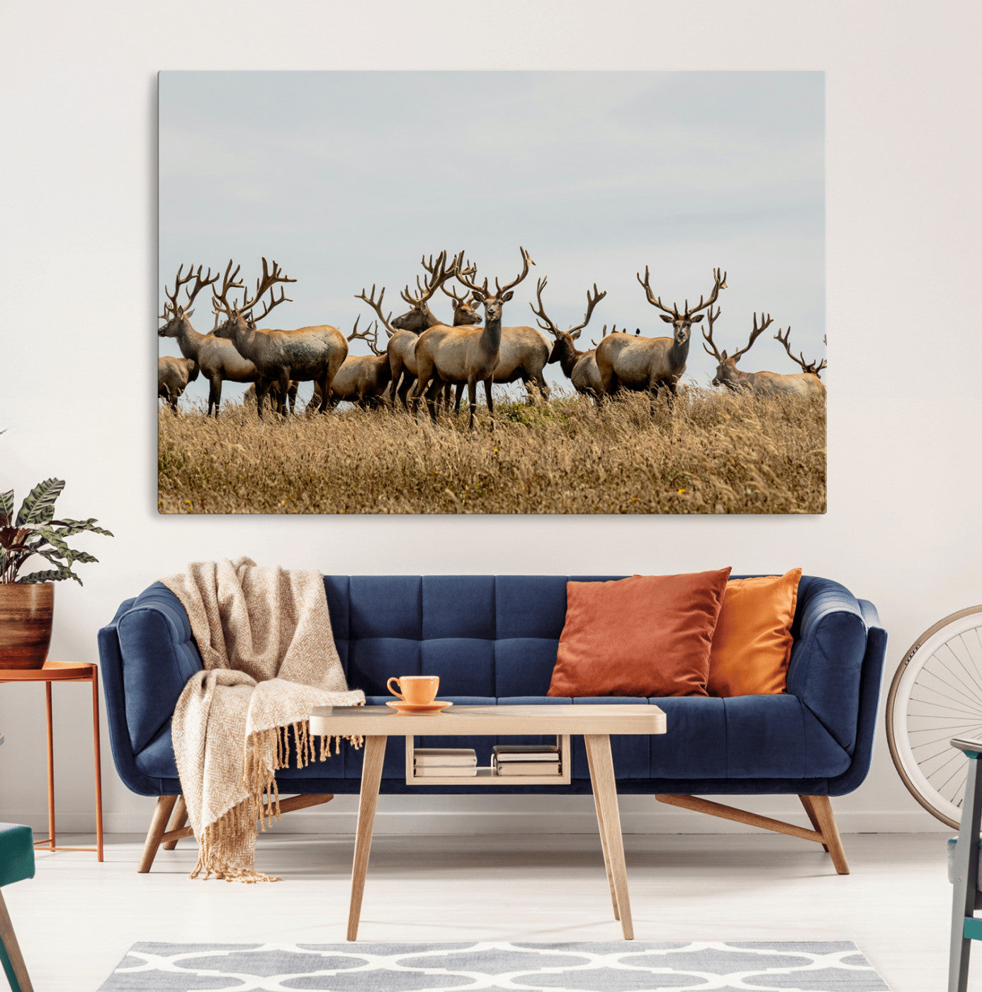 MGV-CV-36X24 - Elk Herd Wall Art Canvas Print, Framed Wildlife Photography Art Picture Print, Majestic Antlers Perfect Rustic Wildlife Decor Artwork