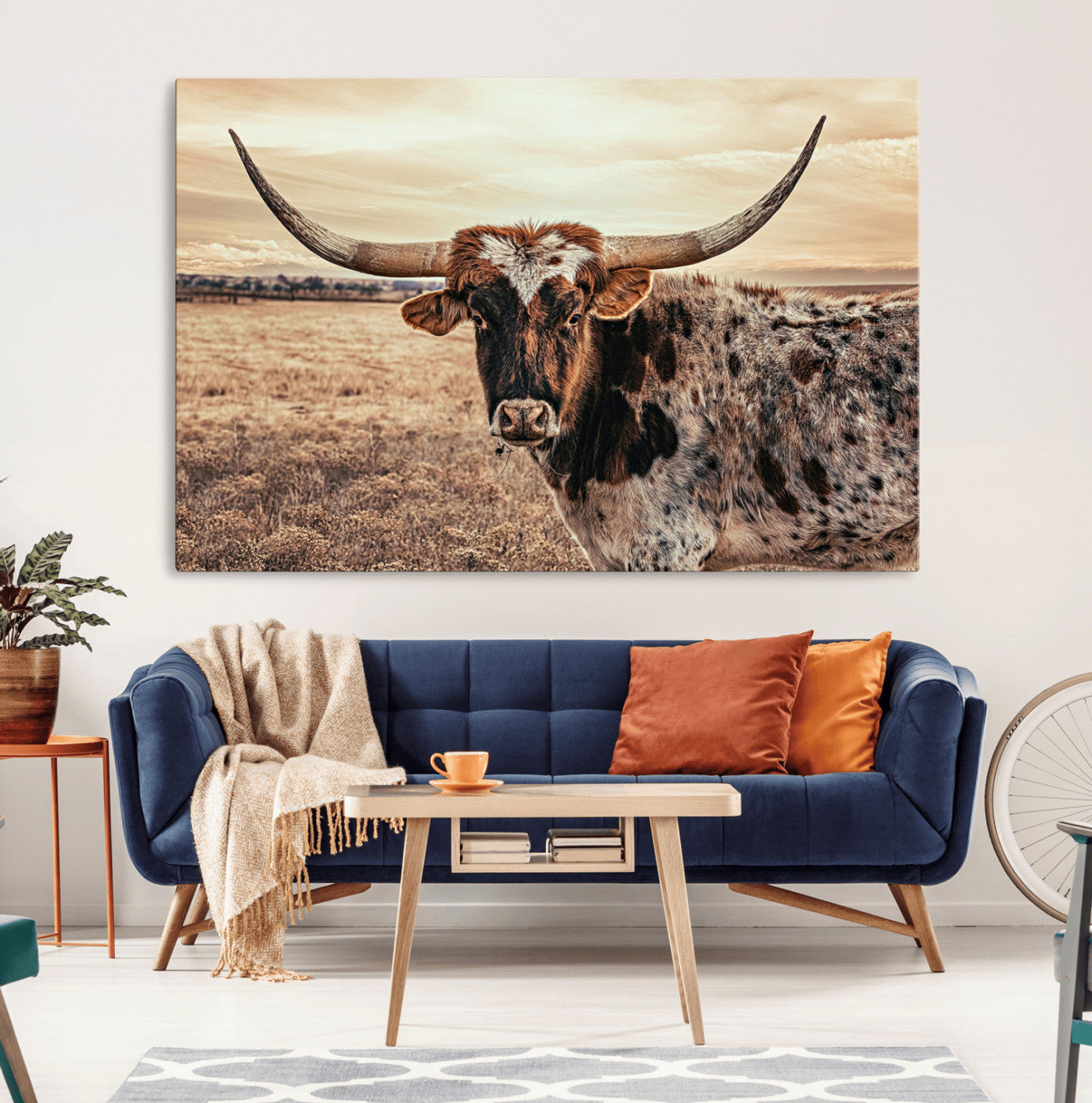 Close-up of a longhorn cow with distinctive curved horns standing in a dry grass field under a cloudy sky.