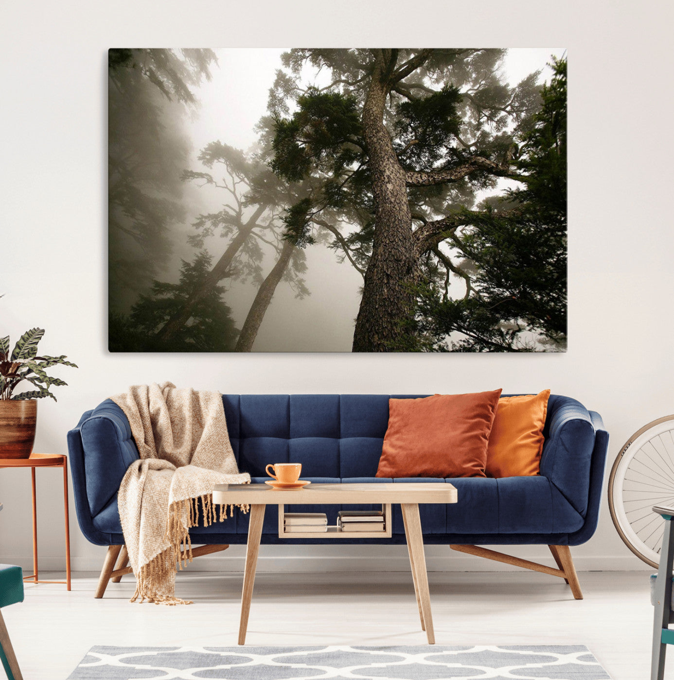 87969493-MGV-CV-36X24-Misty Forest Tall Trees Foggy Atmosphere Nature Serenity Calm Wooded Landscape Tranquil Scene Wall Art for Home, Office