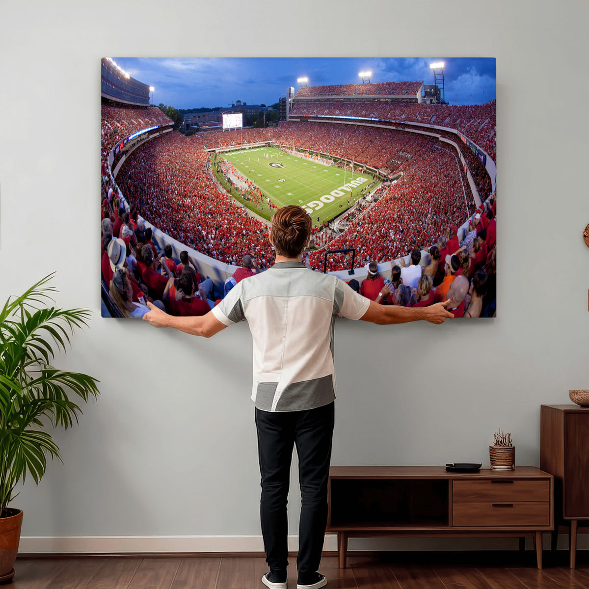 10244378-MGV-CV-36X24 - Dooley Stadium Wall Art, Sports Arena Canvas Print, Dooley Field, Home Bar Wall Decor