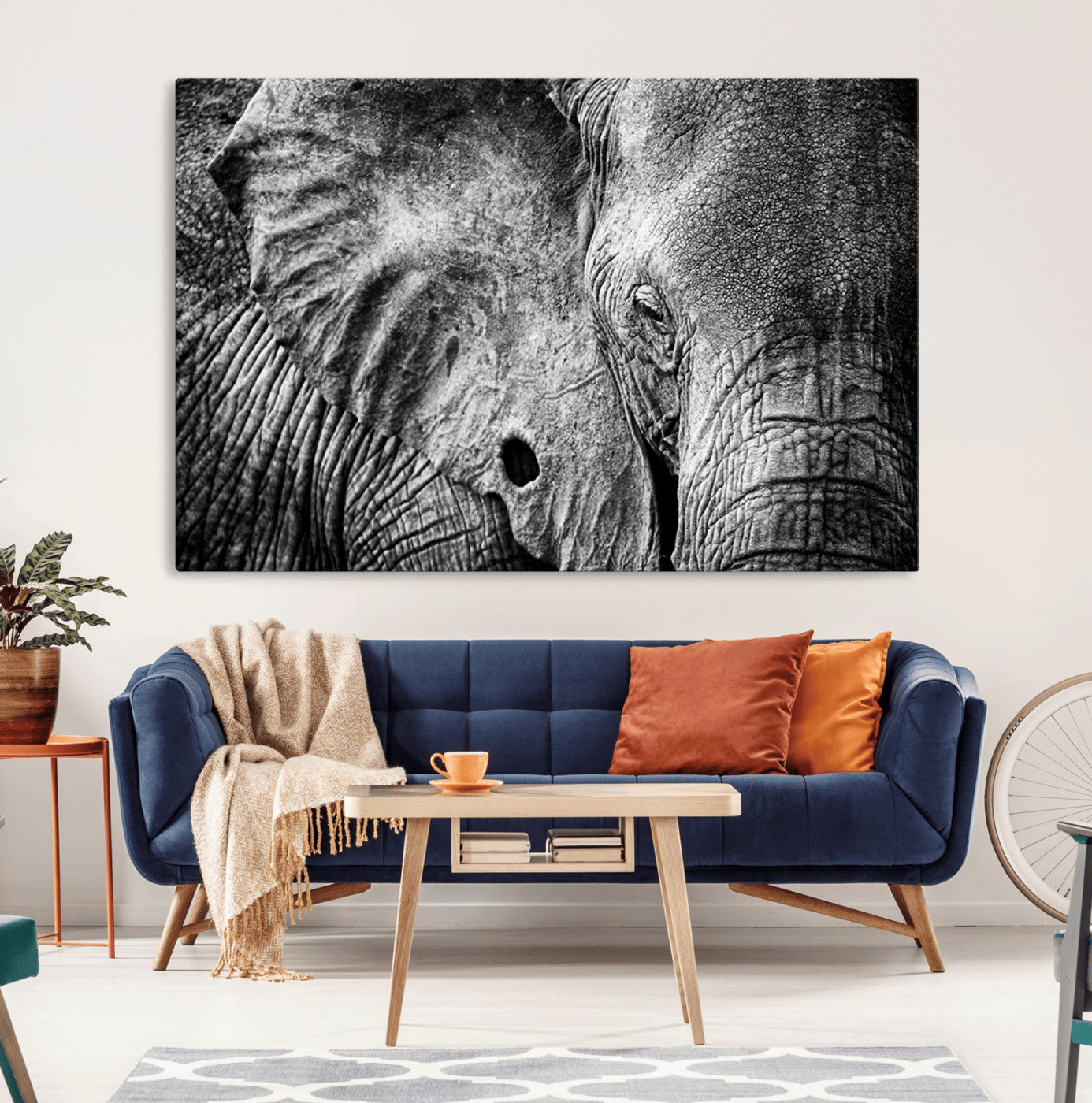 MGV-CV-36X24 - Wild Old Elephant Wall Art Canvas Print