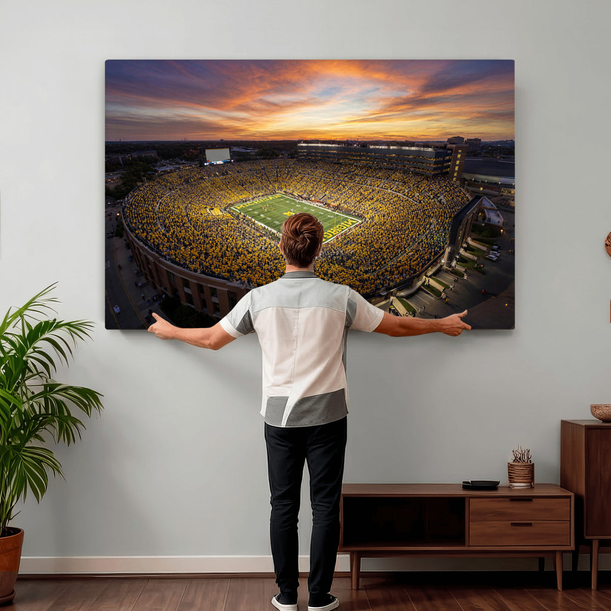 64902586-MGV-CV-36X24 - Stadium Wall Art Canvas Print