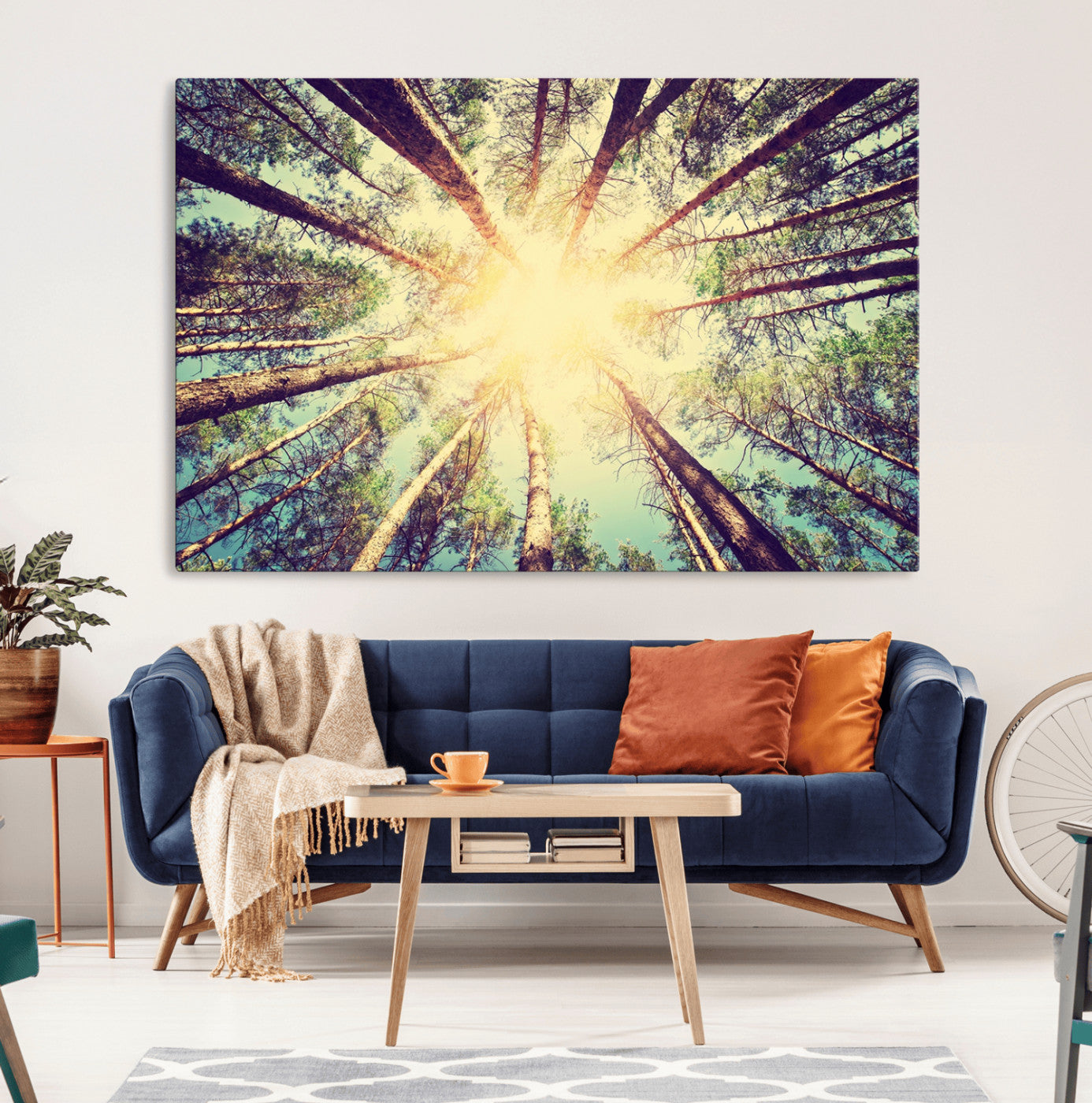 -Tree and Sunshine Canvas Print