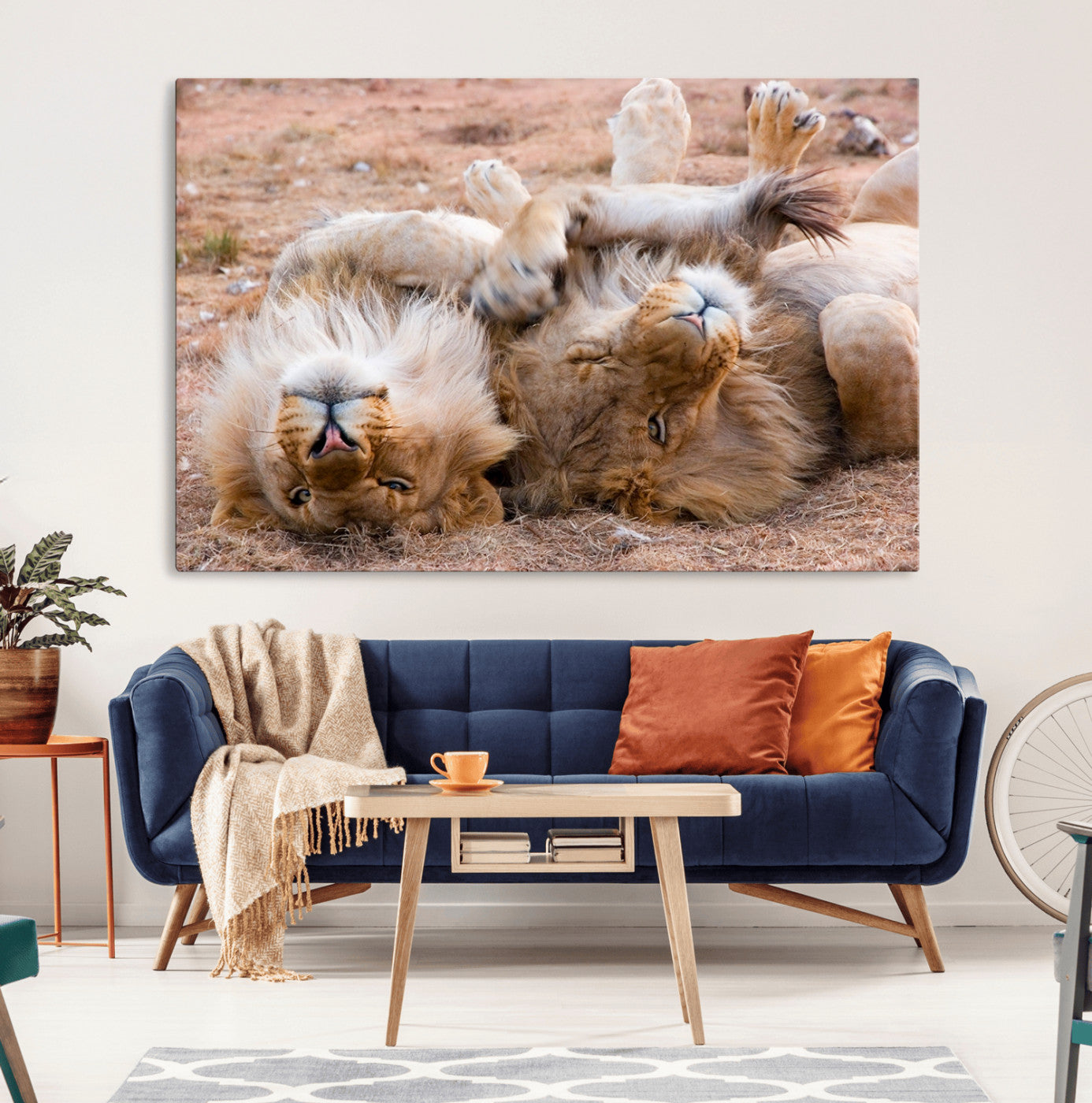 62598-MGV-CV-36X24-Lion Pair Wall Art Canvas Print – Framed Wildlife Scene with Playful Lions Artwork for Home, Office, Living Room