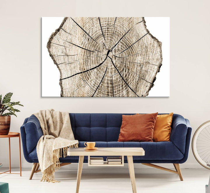 The Abstract Wood Tree Ring Wall Art set of 3 adds a minimalist touch to the space.