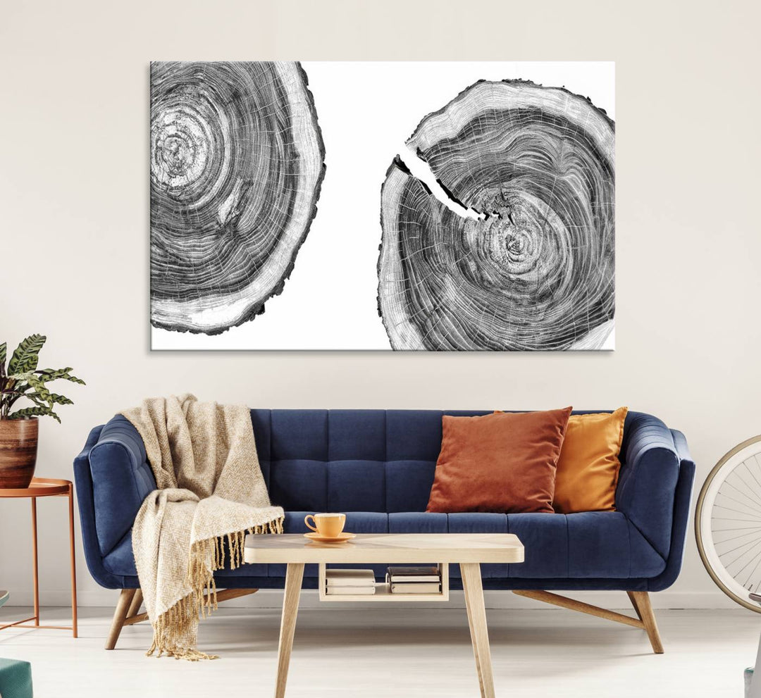 The modern black and white tree rings canvas art adds minimalist geometric decor with nature inspiration.