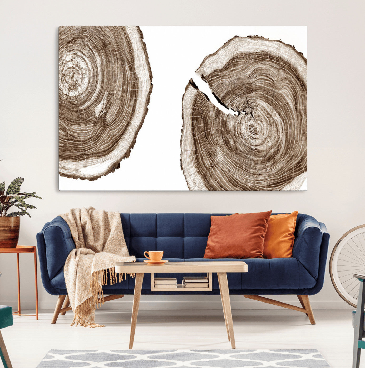 MGV-CV-36X24 - Wood Tree Ring Wall Art Canvas Prints, Tree Rings – Minimalist Black and White Wood Art | Triptych
