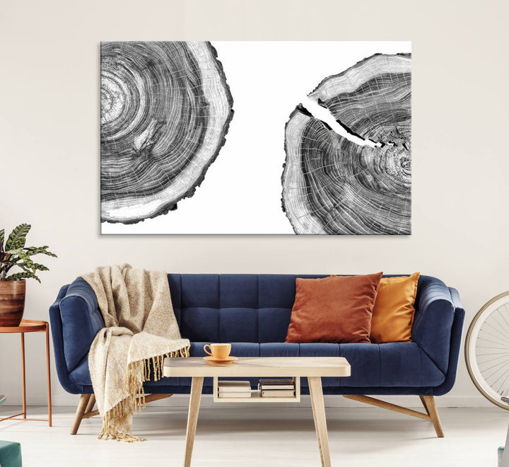 The minimalist art piece Abstract Large Tree Rings on canvas creates a striking focal point.