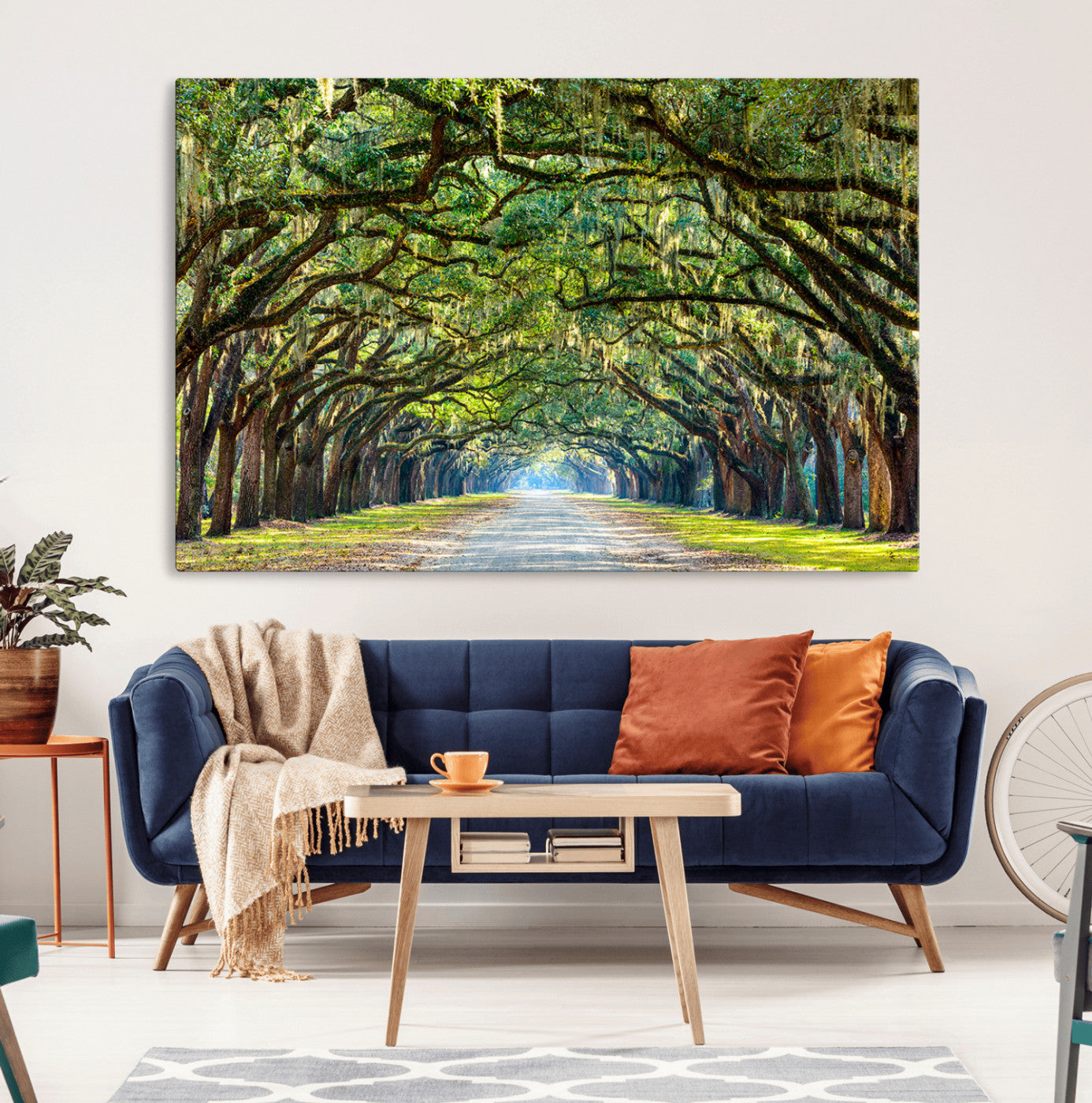 MGV-CV-36X24 - Wormsloe State Plantation Driveway Wall Art Canvas Print