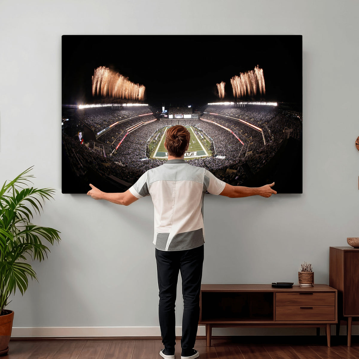 48893-MGV-CV-36X24 - Eagles Field Stadium Wall Art, Lincoln Financial Field