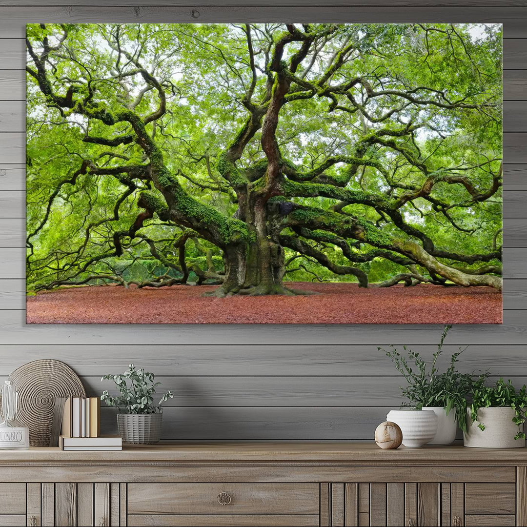 Framed Angel Oak Tree Wall Art - 3-Panel Canvas Prints, Large Green Nature Artwork, Ready to Hang Home Decor for Living Room, Office, Bedroom