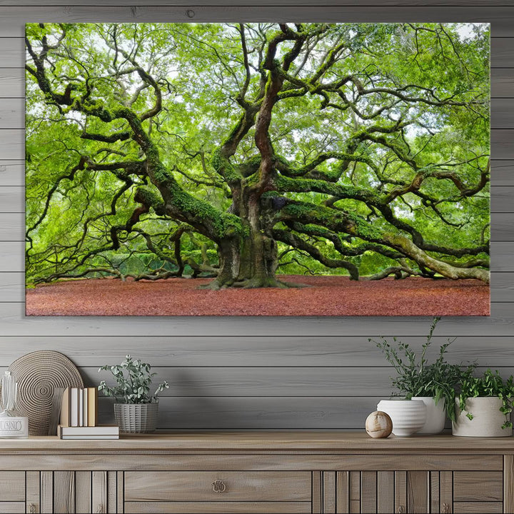 Framed Angel Oak Tree Wall Art - 3-Panel Canvas Prints, Large Green Nature Artwork, Ready to Hang Home Decor for Living Room, Office, Bedroom