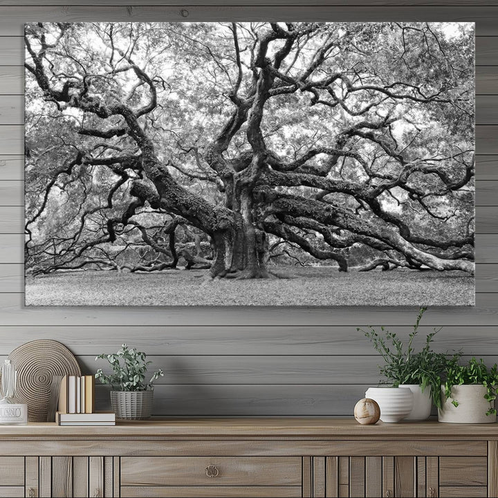 Black White Angel Oak Tree Wall Art - Timeless Nature-Inspired Canvas for Rustic, Modern, or Traditional Home Decor