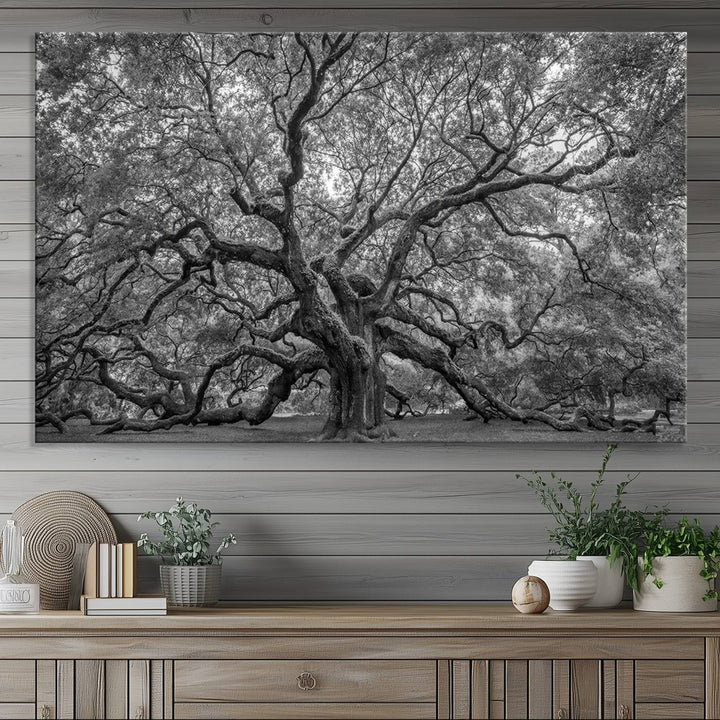 Majestic Angel Oak Tree Black and White Canvas Print – Multi Panel Wall Art, Giclée Print, Ready to Hang Nature Photography for Home Decor