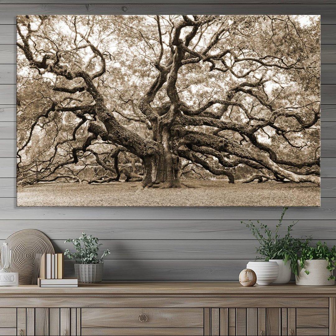 Displayed on the wall is a Sepia-framed Angel Oak Tree 3-panel canvas.