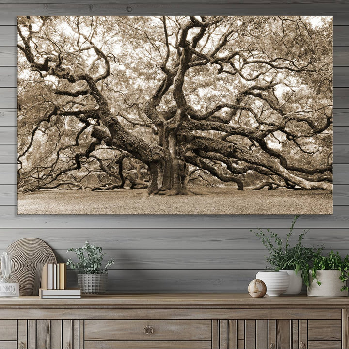 Displayed on the wall is a Sepia-framed Angel Oak Tree 3-panel canvas.